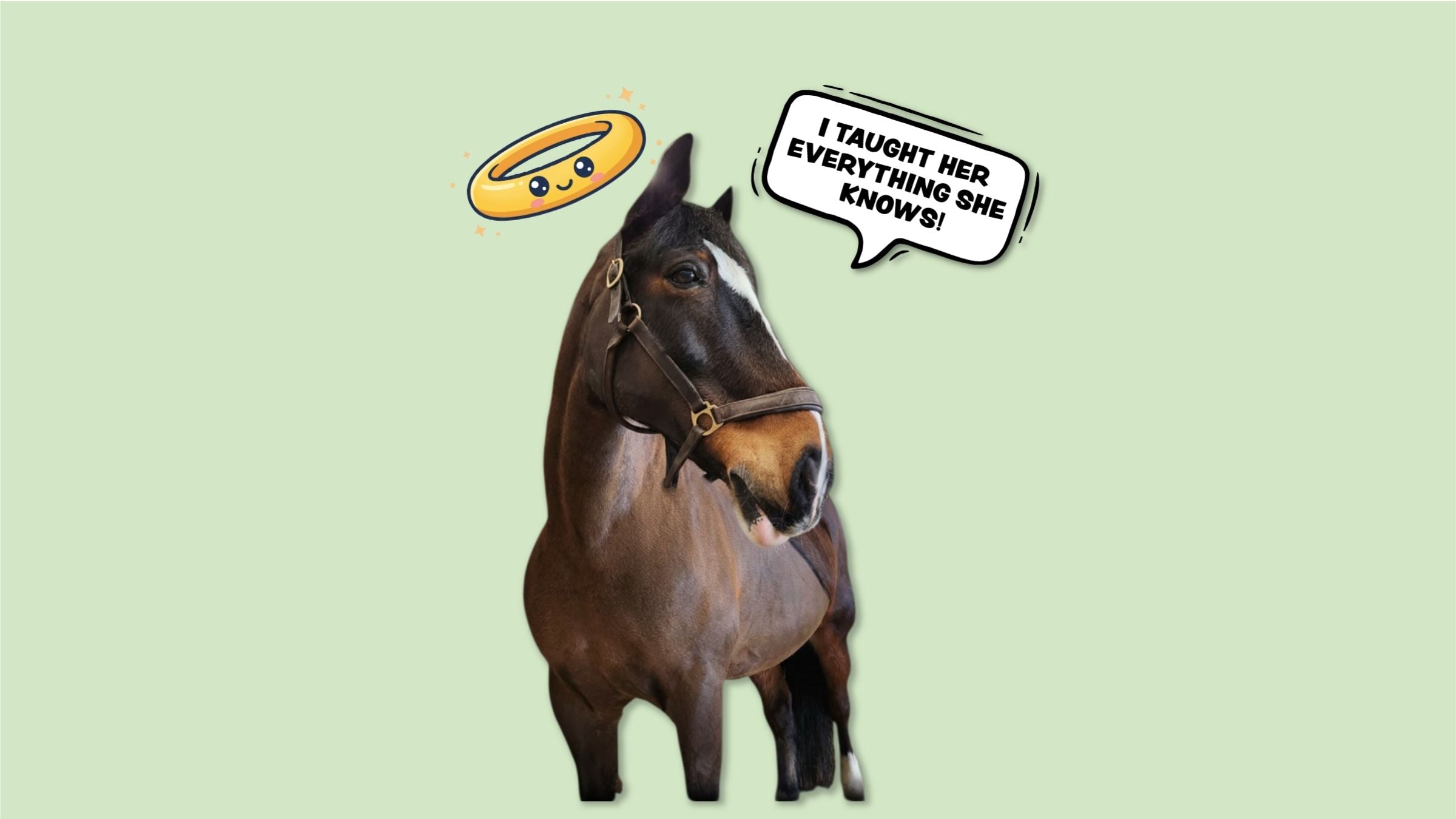 Meet the 'Ponies' Behind Ponies & Pups