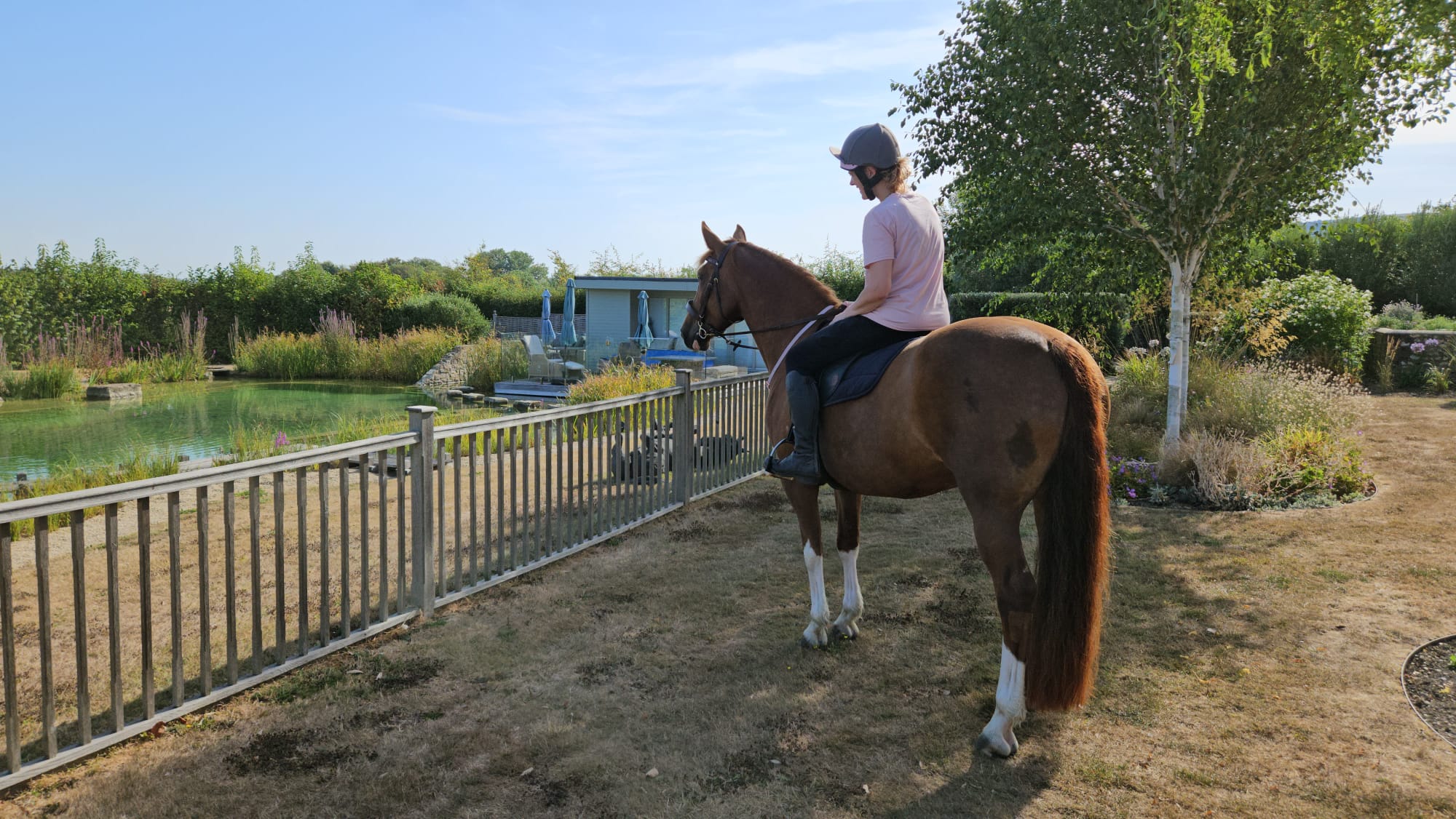 Sophia in a riding hat sits astride her chestnut mare Patsy on parched summer grass, looking out over a garden pond, both calm and still