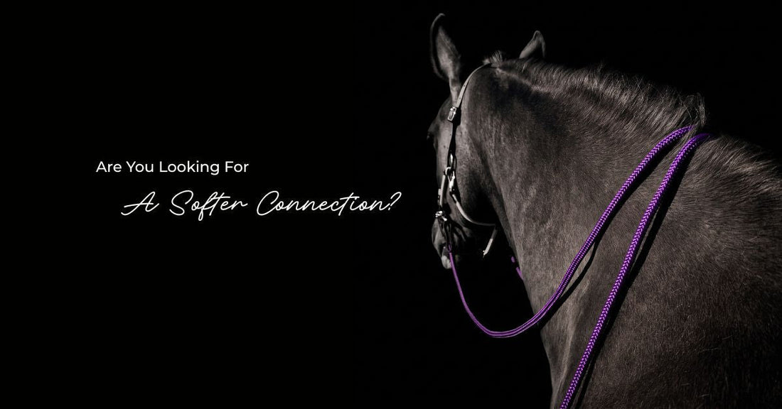 Are you looking for a softer connection? Horse wearing purple BioThane and rope split reins