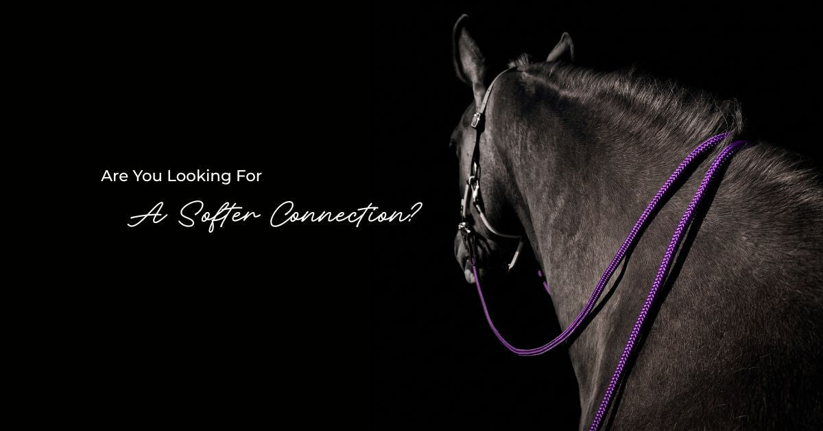 Are you looking for a softer connection? Horse wearing purple BioThane and rope split reins