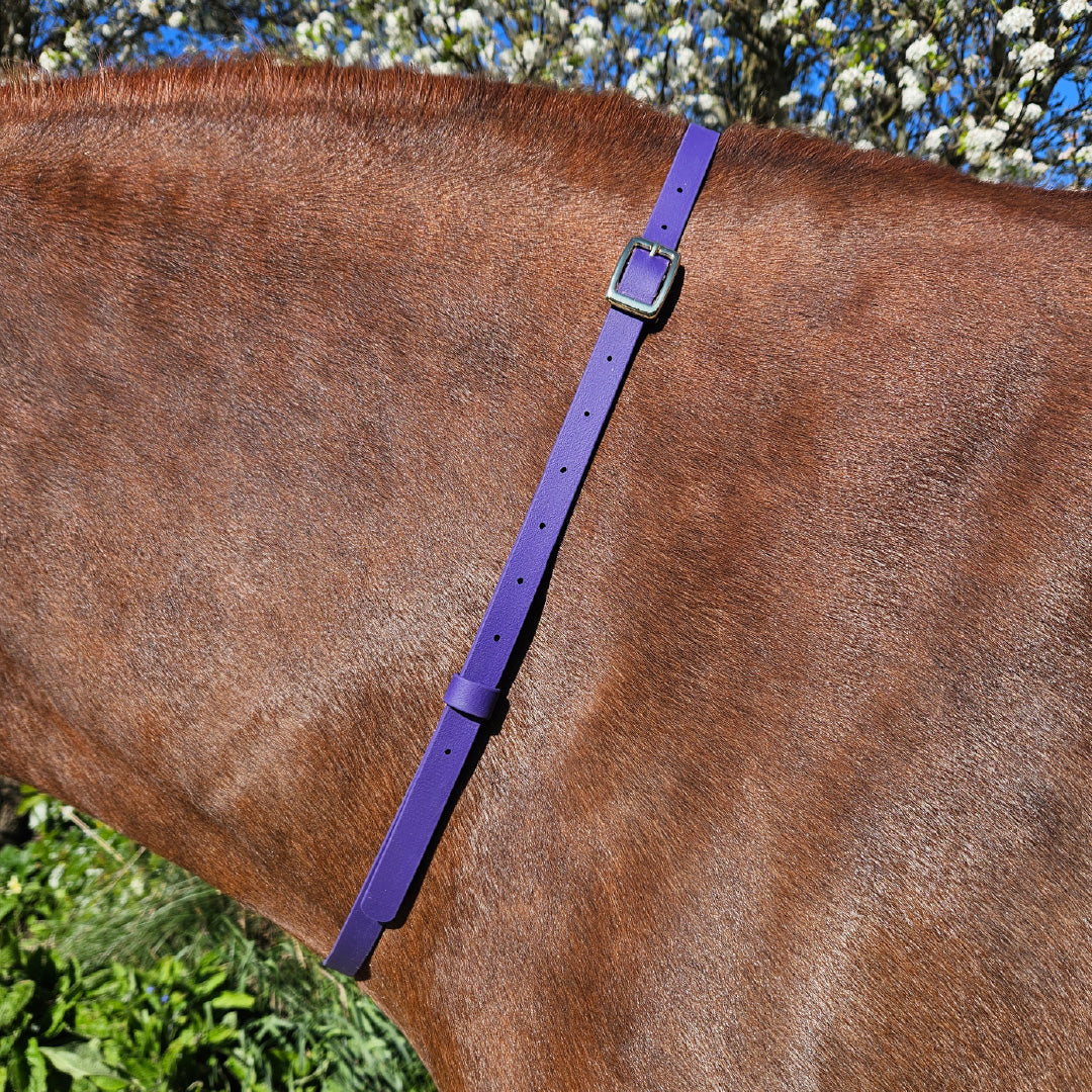 BioThane Adjustable Neck Strap | Waterproof Horse & Pony Neck Strap