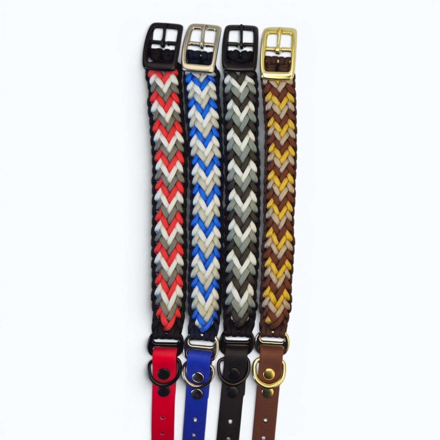 Four woven  dog collars with different color patterns and metal buckles on a white background