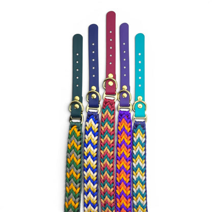 Set of colorful dog collars with metal buckles on a white background