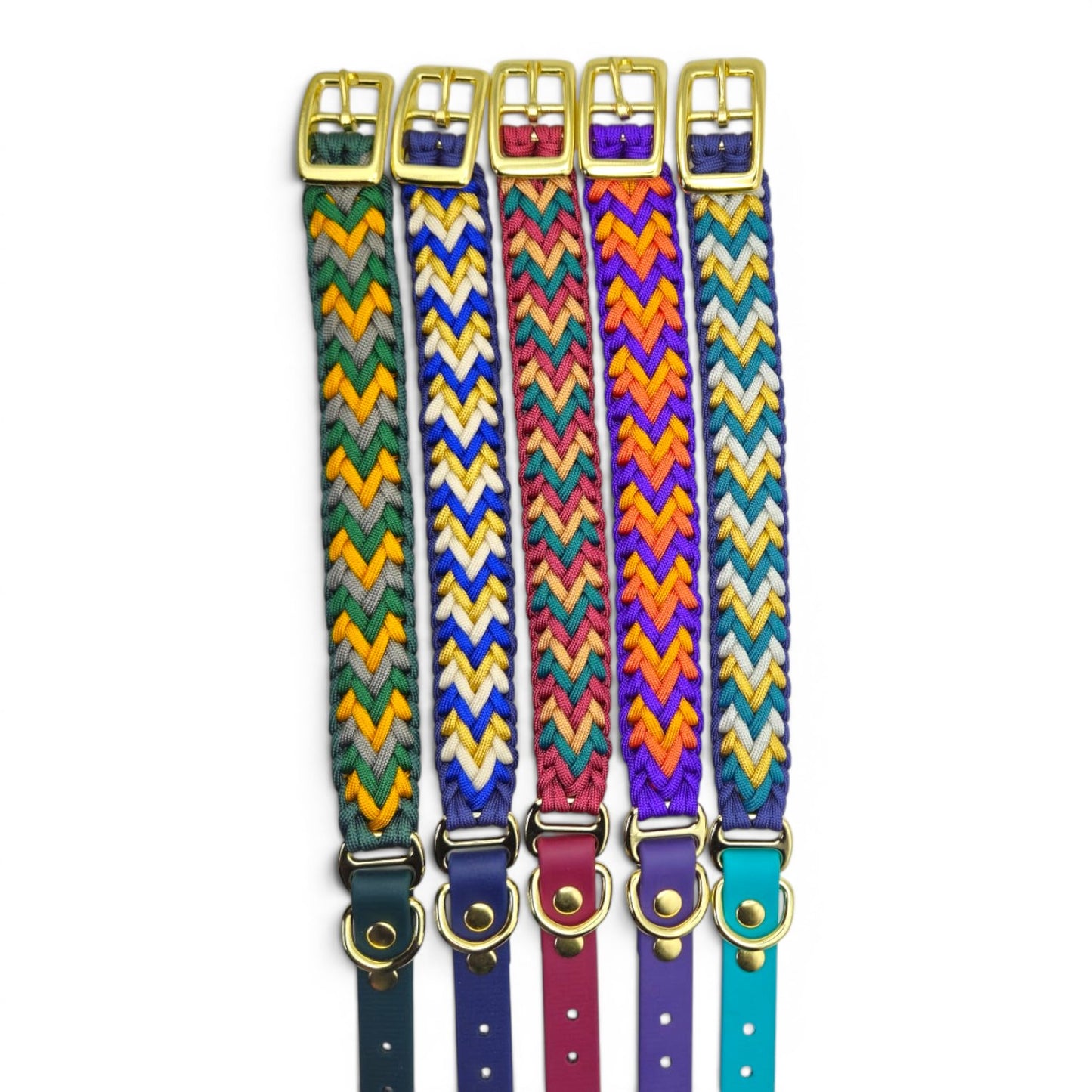 Set of colorful zigzag patterned dog collars with gold buckles on a white background