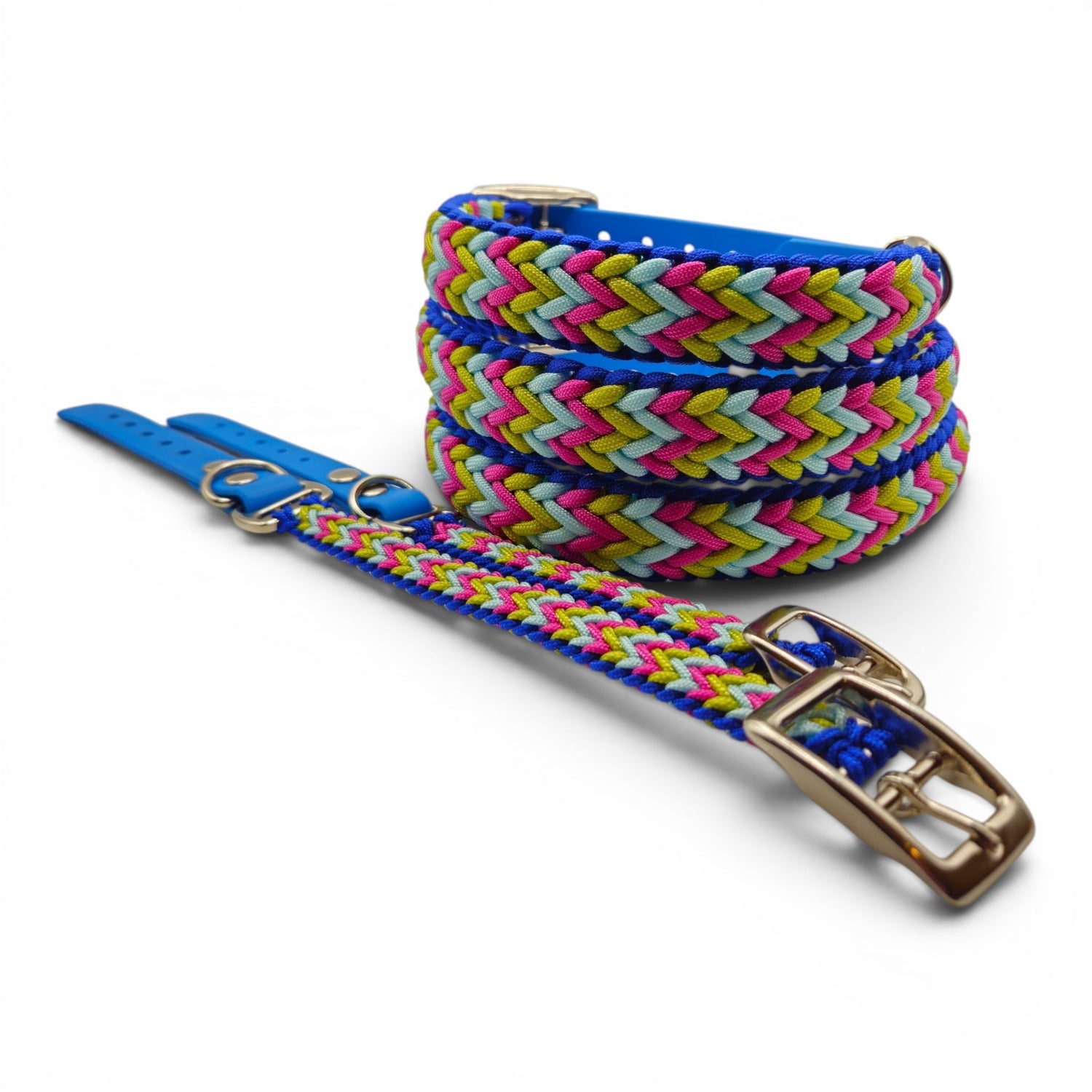 Colorful braided  dog collar with a gold buckle on a white background