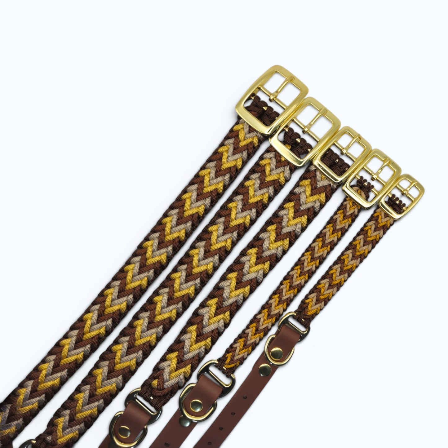 Three woven dog collar with gold buckles on a white background
