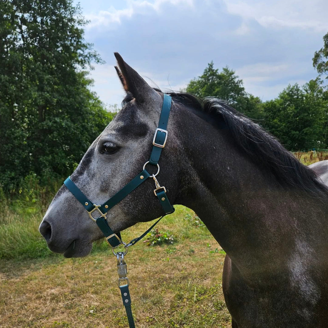 Waterproof BioThane Headcollar