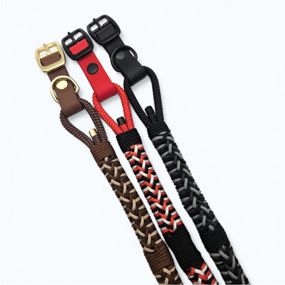 Set of colorful braided dog collars with various buckles on a white background