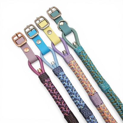 Colorful dog collars with braided designs on a white background