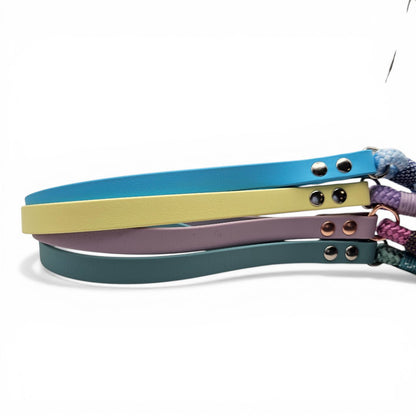 Set of colorful dog leashes on a white background