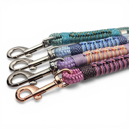 Set of colorful dog leashes with metal clasps on a white background