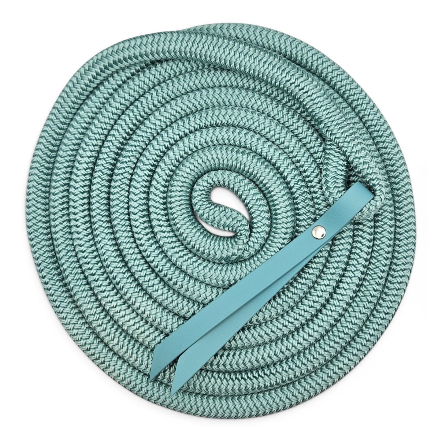 turquoise 15ft waterproof groundwork rope with biothane popper for horses