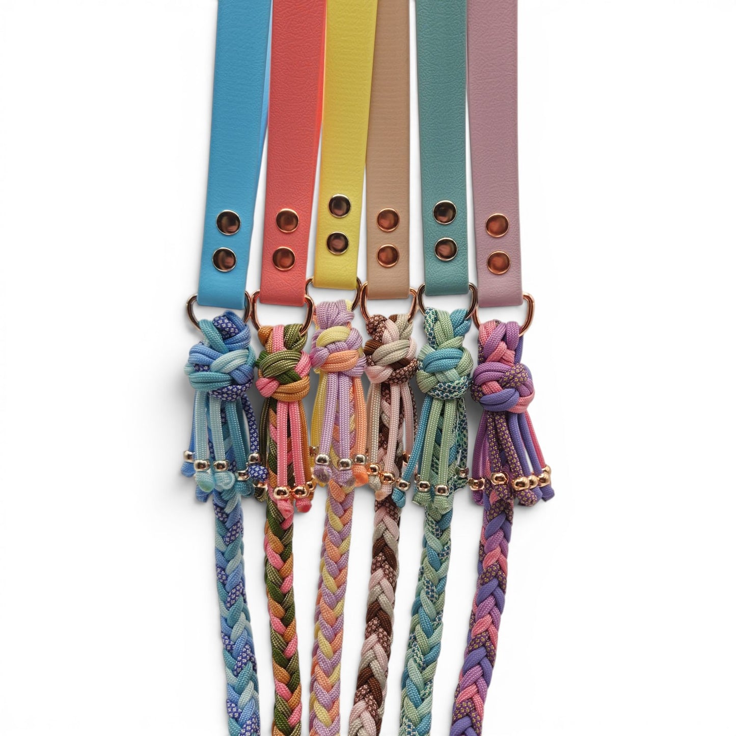 Colorful biothane dog lead handles and braided weatherproof dog leads on a white background