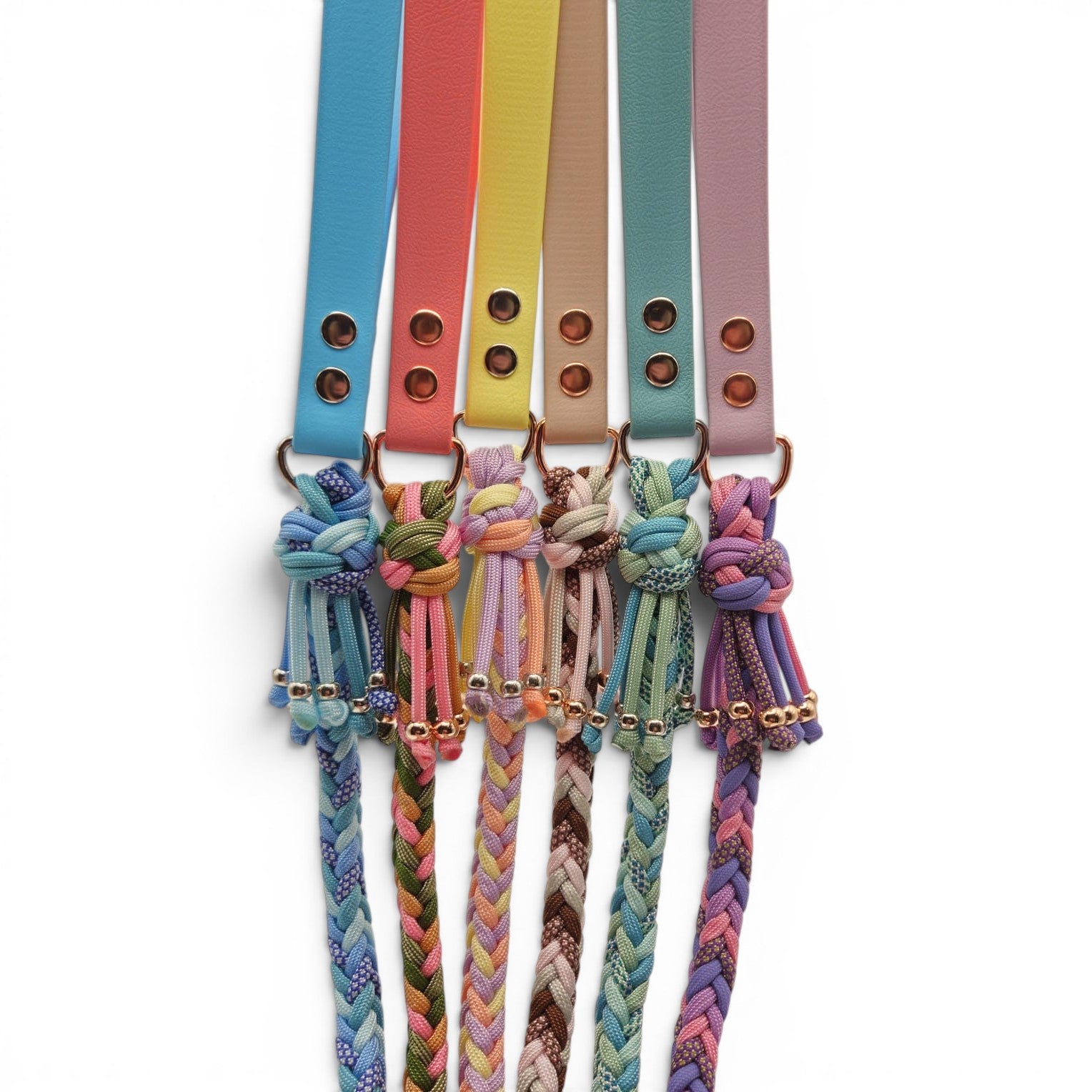 Colorful biothane dog lead handles and braided weatherproof dog leads on a white background