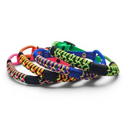 Colorful braided dog collar on a white background