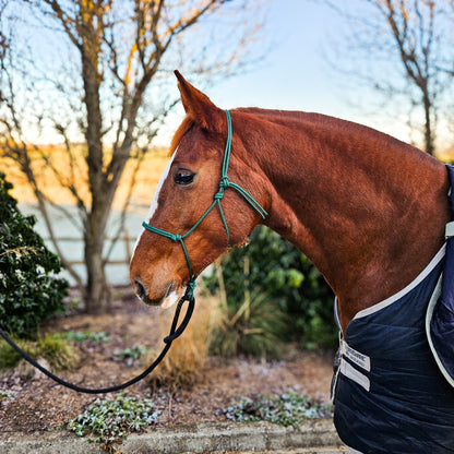 chestnut horse wearing a hunter green all weather rope halter that has been handcrafted in the uk, in a natural setting with trees and plants.