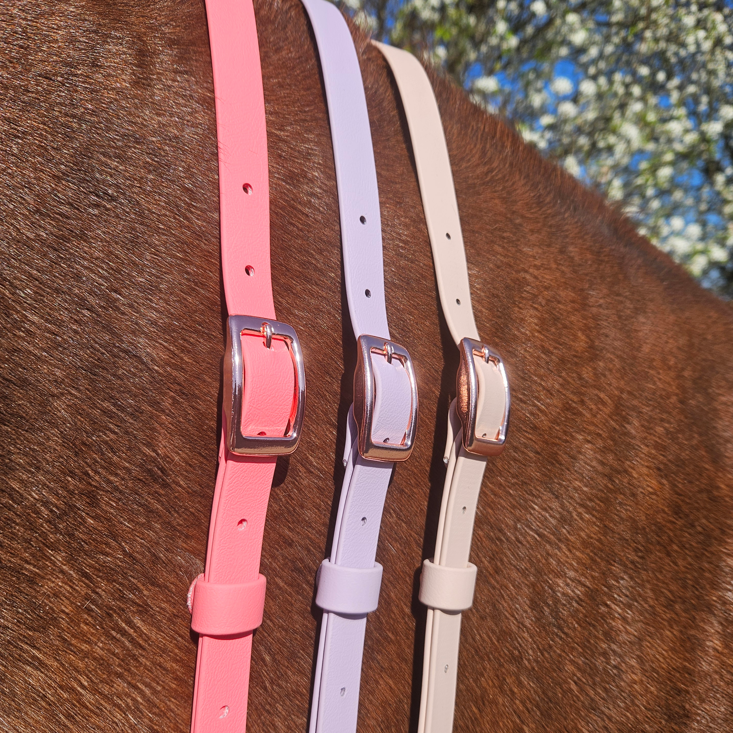 BioThane Adjustable Neck Strap | Waterproof Horse & Pony Neck Strap