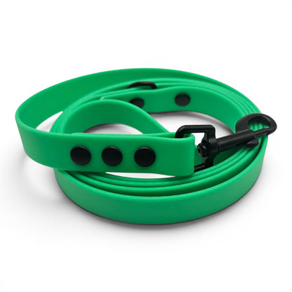 Green dog leash with black clips on a white background