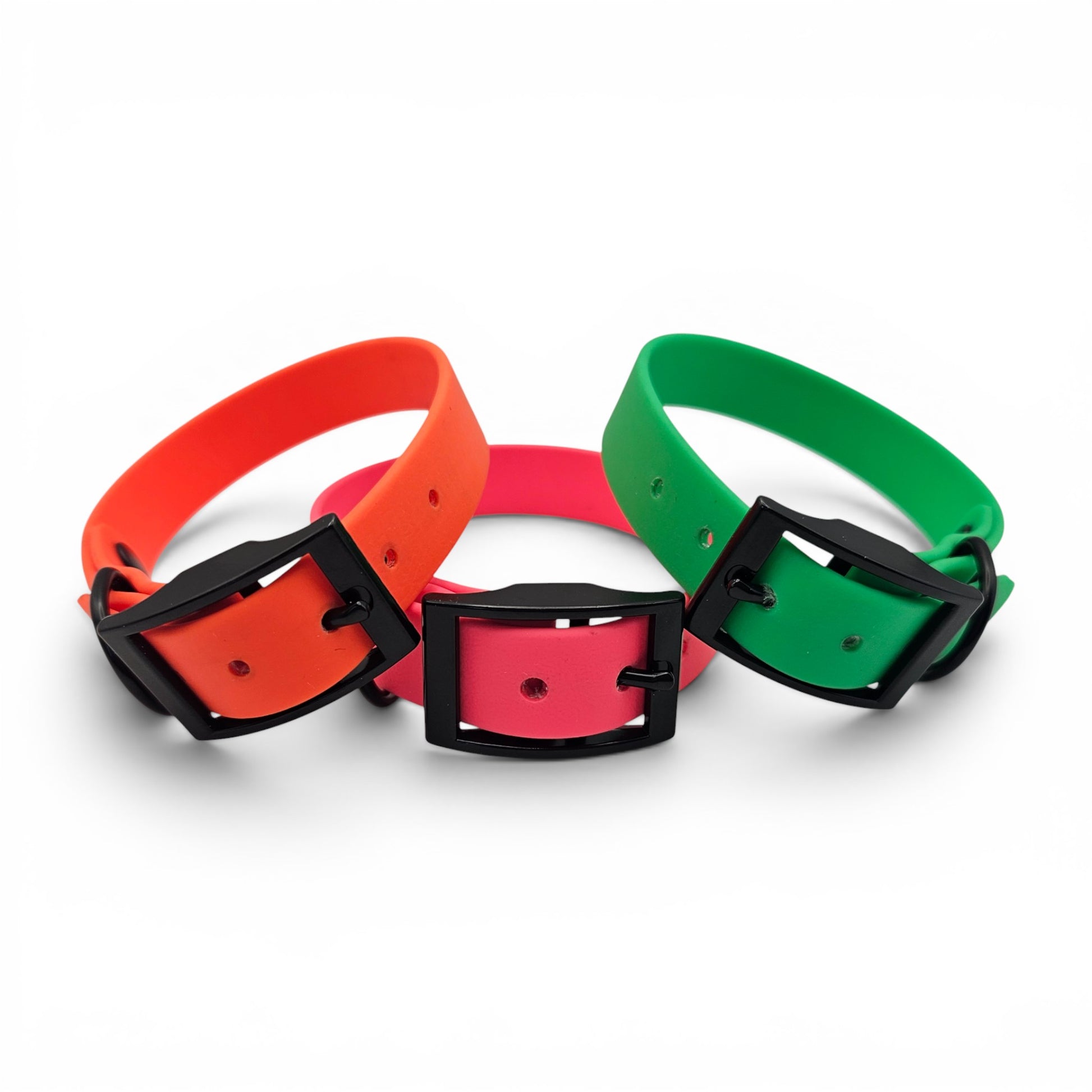 Three colorful dog collars with black buckles on a white background