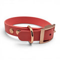 Ponies and Pups coral BioThane dog collar with rose gold buckle and studs, waterproof and adjustable.