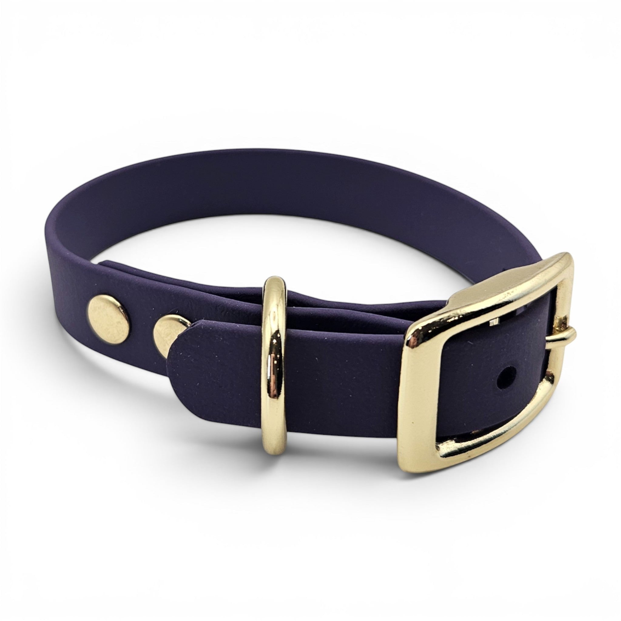 Violet BioThane dog collar