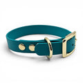 Ponies and Pups teal BioThane dog collar with gold hardware, waterproof and adjustable.
