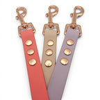 Ponies and Pups BioThane dog leads in coral, beige, and lilac with rose gold hardware. Waterproof and durable.