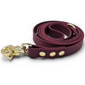 Ponies and Pups BioThane dog lead in deep plum with gold hardware. Waterproof and stink-proof.