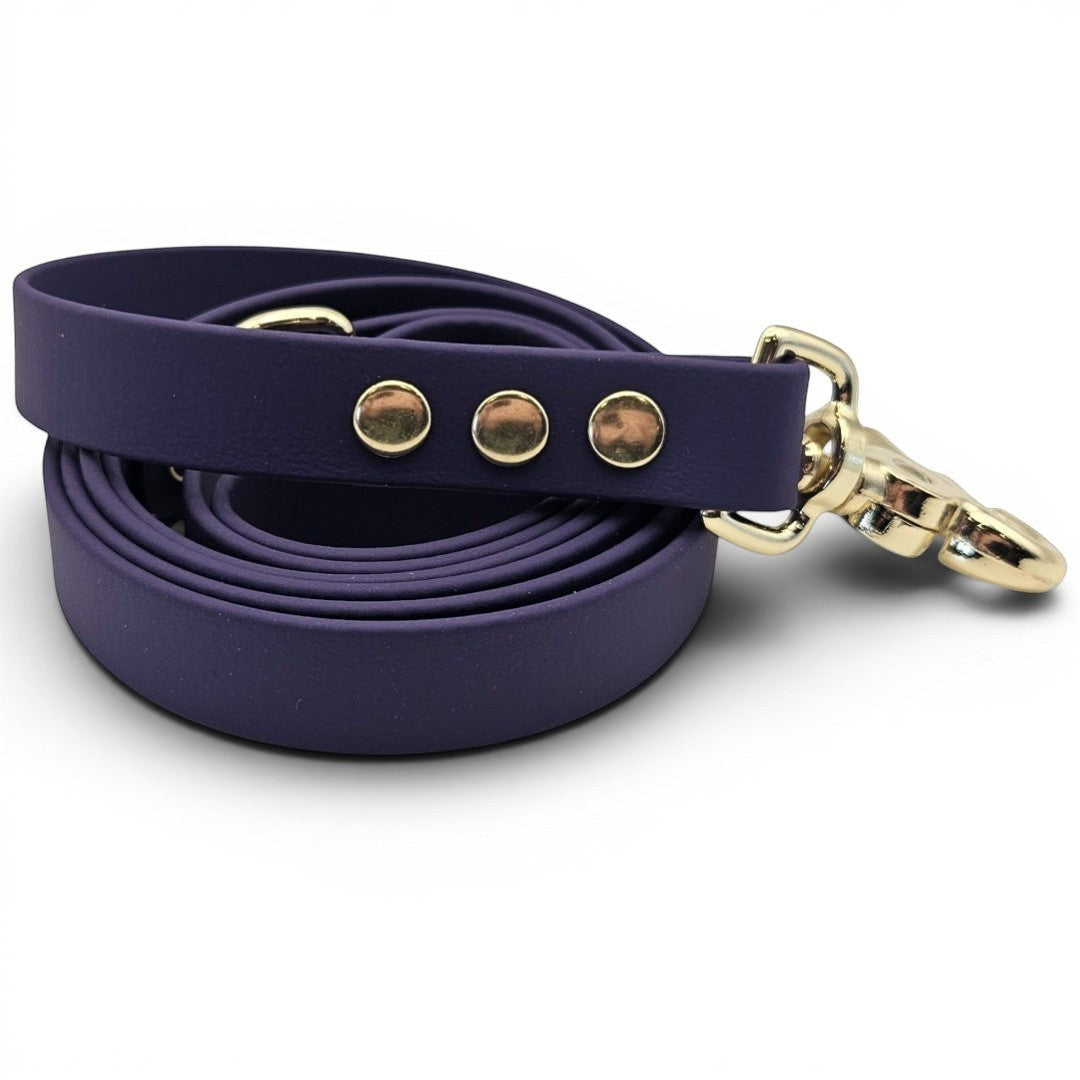 Ponies and Pups dark purple BioThane dog lead with gold hardware. Waterproof and stink-proof.