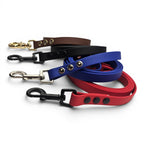 Ponies and Pups BioThane dog leads in red, blue, black, and brown. Waterproof and durable.