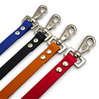 Ponies and Pups waterproof BioThane horse rug fillet strings in blue, black, orange, and red with stainless steel snaps.