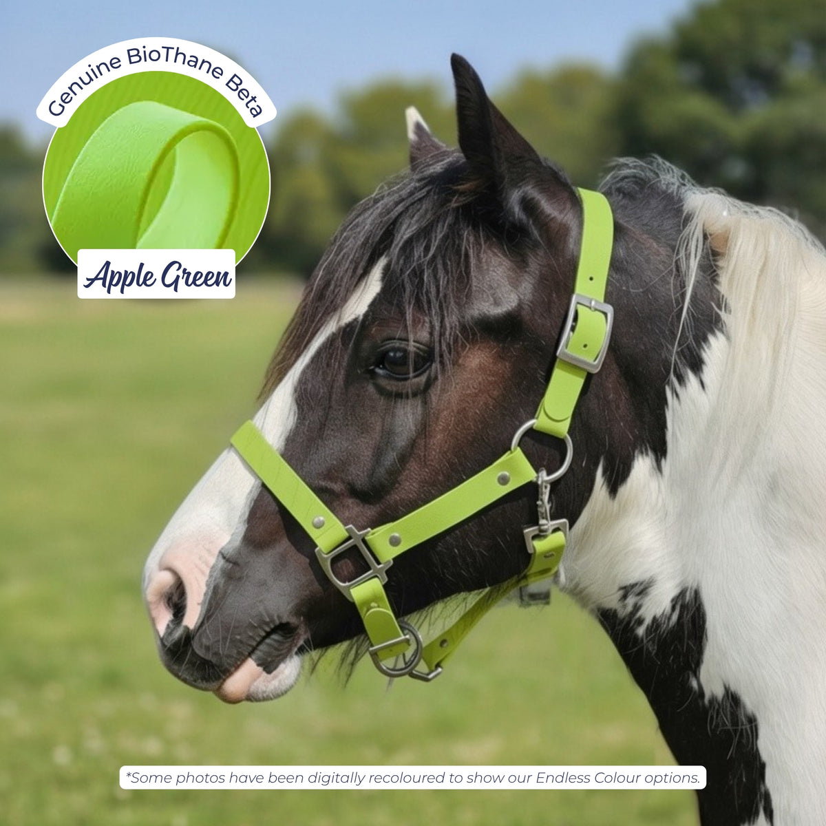Waterproof BioThane Headcollar in Apple Green on a piebald horse, digitally recoloured to show the colour option.