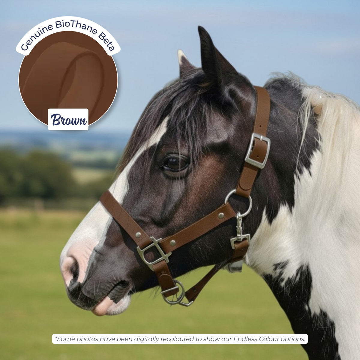Waterproof BioThane Headcollar in Brown on a piebald horse, digitally recoloured to show the colour option.