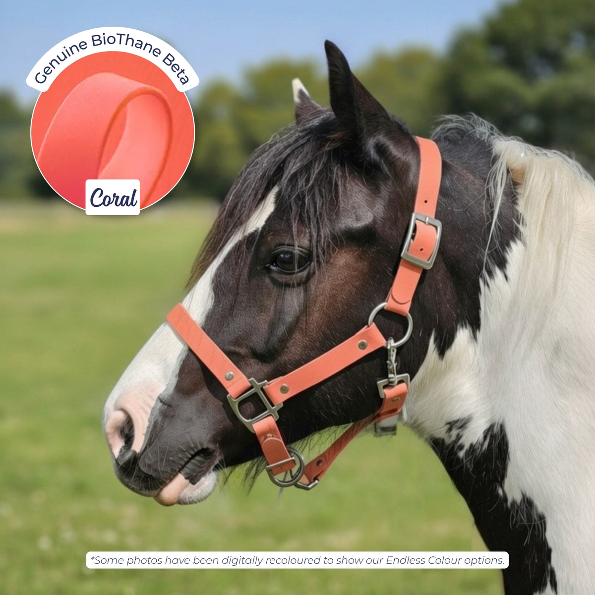 Waterproof BioThane Headcollar in Coral on a piebald horse, digitally recoloured to show the colour option.
