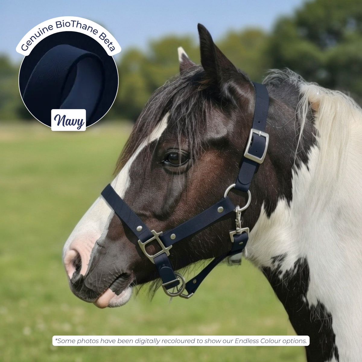 Waterproof BioThane Headcollar in Navy on a piebald horse, digitally recoloured to show the colour option.