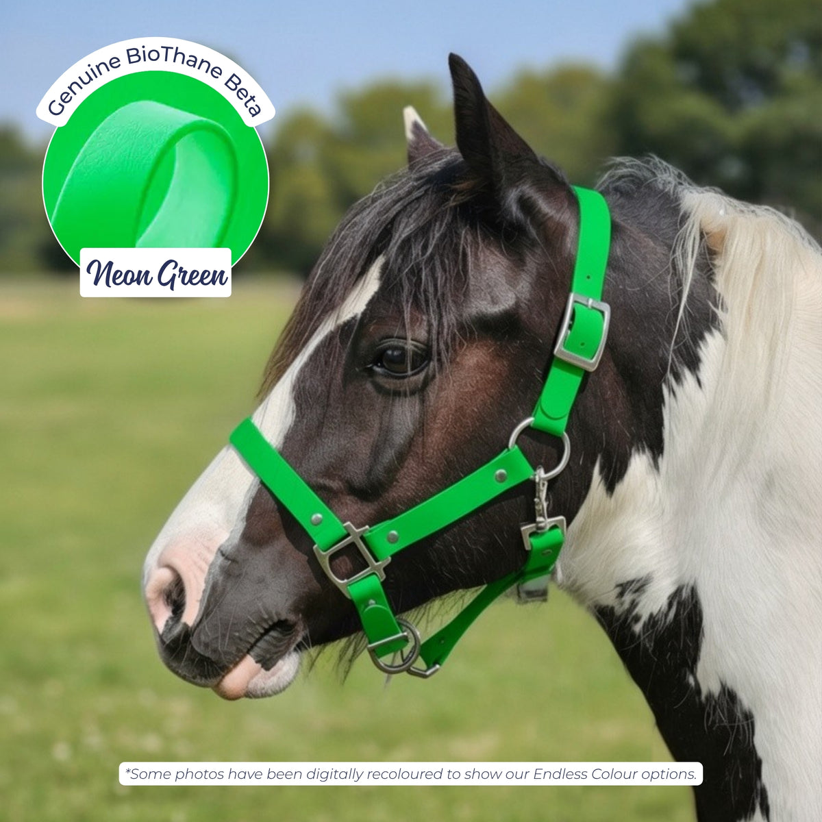 Waterproof BioThane Headcollar in Neon Green on a piebald horse, digitally recoloured to show the colour option.