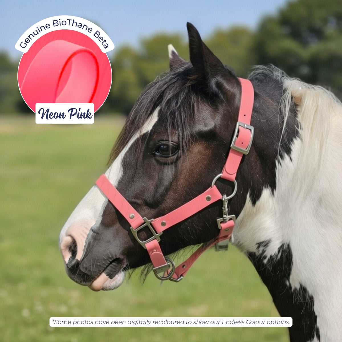 Waterproof BioThane Headcollar in Neon Pink on a piebald horse, digitally recoloured to show the colour option.