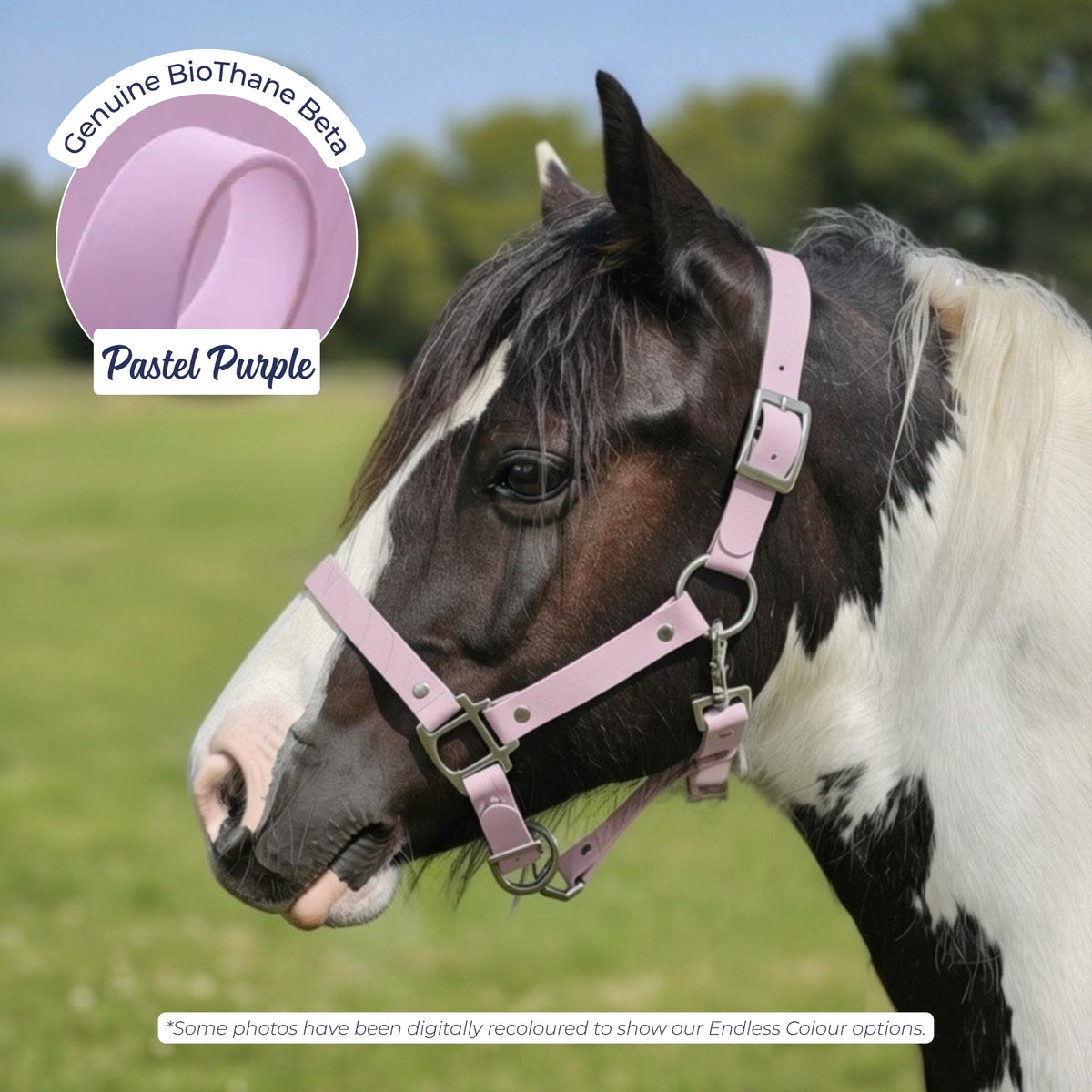 Waterproof BioThane Headcollar in Pastel Purple on a piebald horse, digitally recoloured to show the colour option.