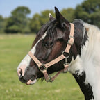 Ponies and Pups adjustable beige BioThane horse headcollar on a piebald horse in a field