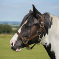 Ponies and Pups brown waterproof BioThane horse headcollar on a piebald horse in a field