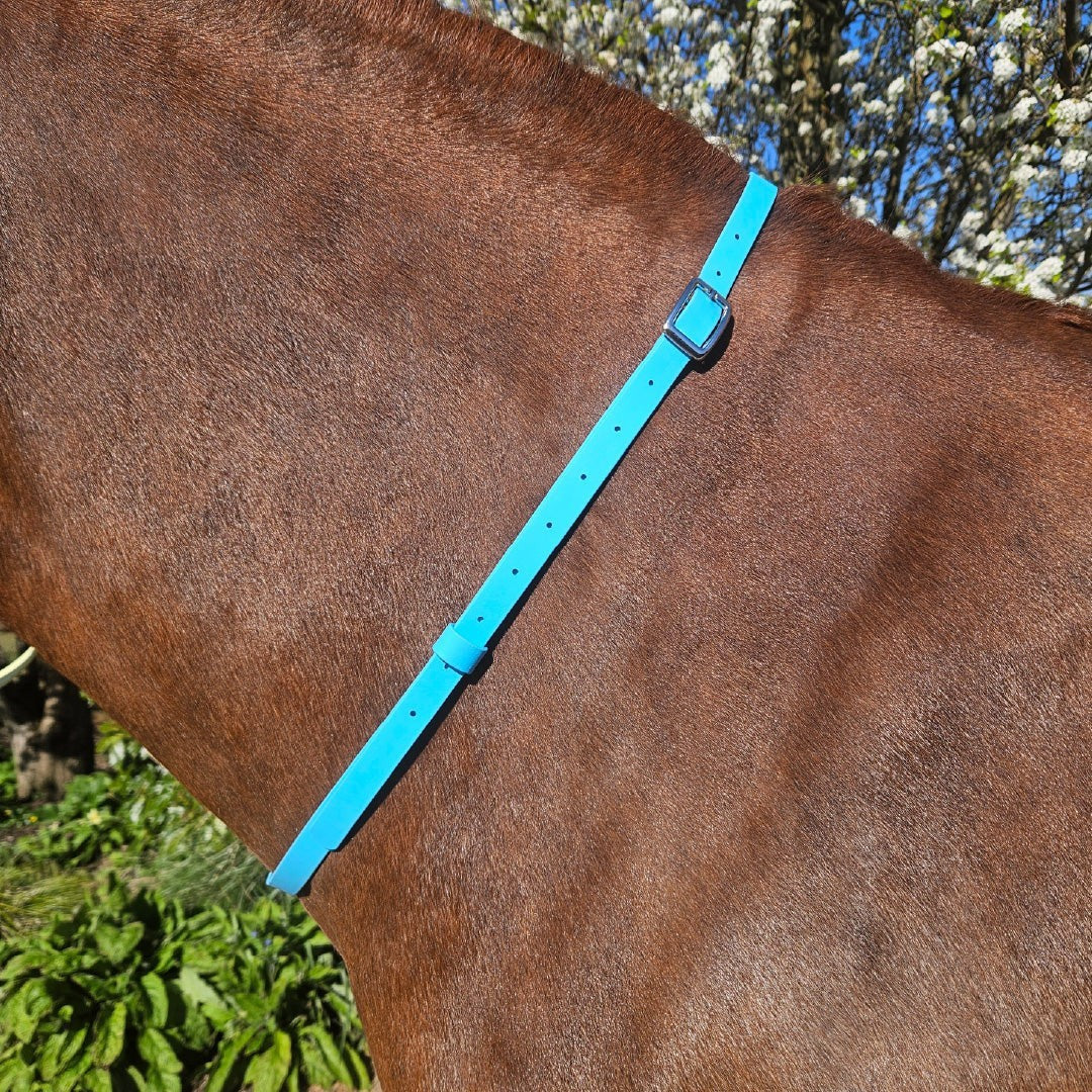 Ponies and Pups bright blue BioThane adjustable horse neck strap with silver buckle, waterproof and easy clean.