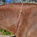 Ponies and Pups brown BioThane adjustable horse neck strap with gold buckle, waterproof and durable.