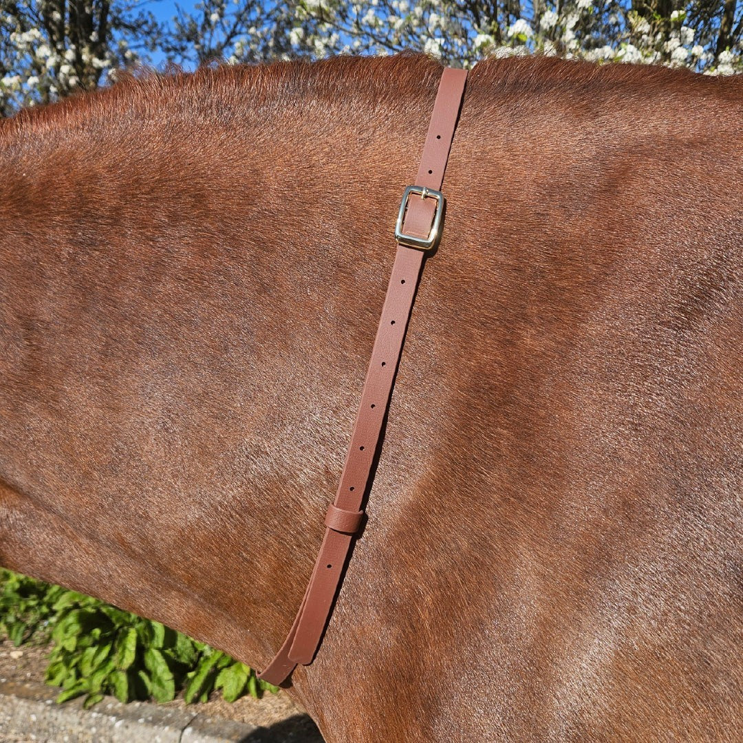 Ponies and Pups brown BioThane adjustable horse neck strap with gold buckle, waterproof and durable.