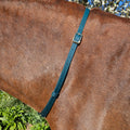 Ponies and Pups teal BioThane adjustable horse neck strap with gold buckle