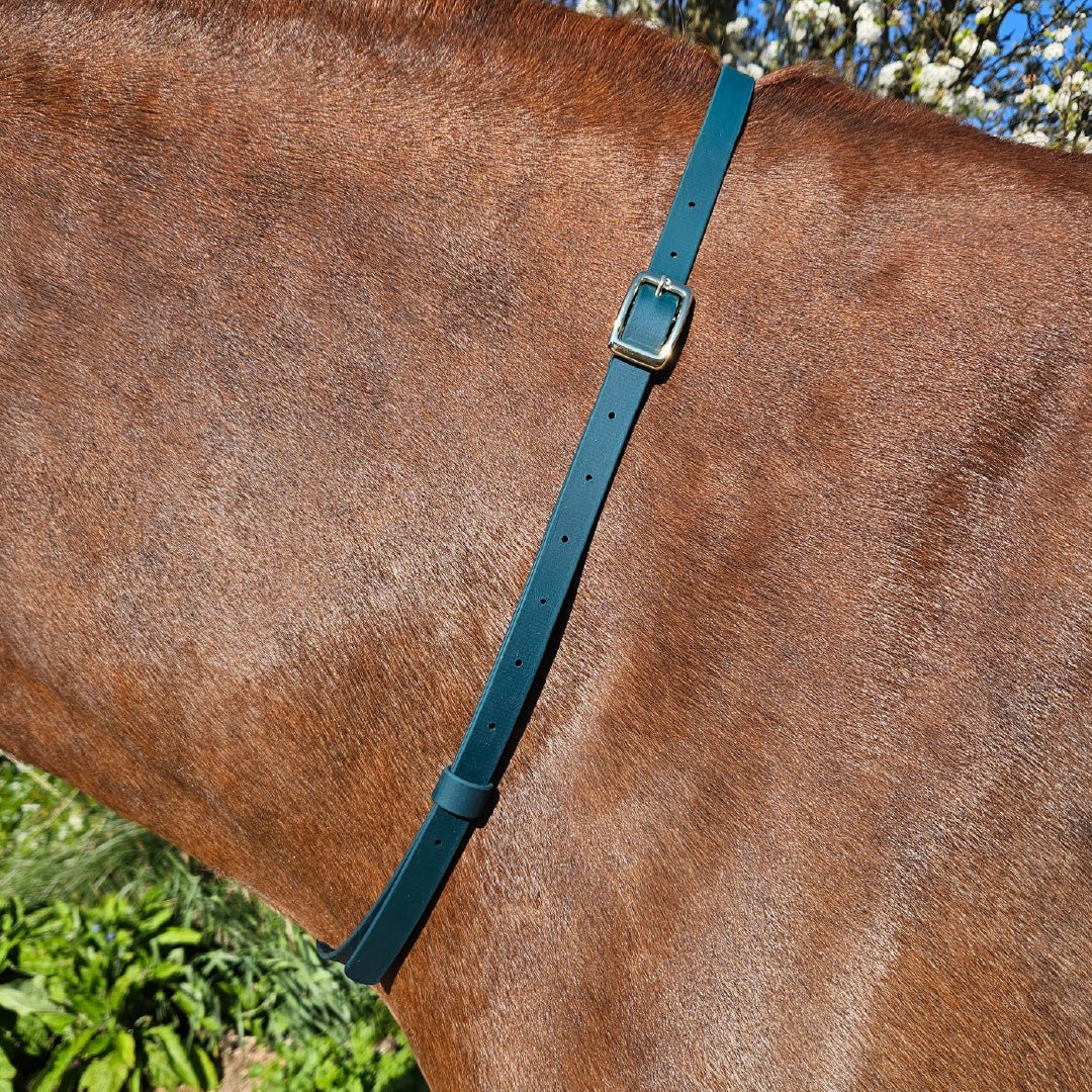 Ponies and Pups teal BioThane adjustable horse neck strap with gold buckle