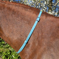 Ponies and Pups turquoise BioThane adjustable horse neck strap with silver buckle
