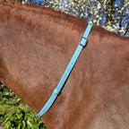 Ponies and Pups turquoise BioThane adjustable horse neck strap with silver buckle