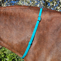 Ponies and Pups turquoise BioThane adjustable horse neck strap with silver buckle, waterproof and durable.