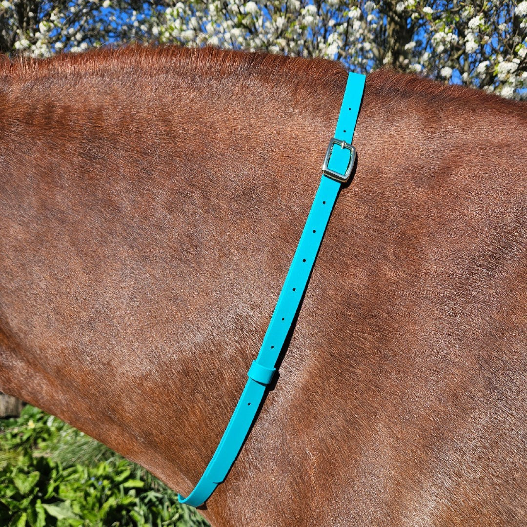 Ponies and Pups turquoise BioThane adjustable horse neck strap with silver buckle, waterproof and durable.