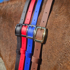 Ponies and Pups BioThane adjustable neck strap in black, red, blue, and brown with gold and silver buckles on a horse.